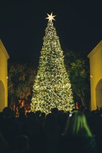 Christmas tree lighting